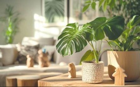 1759389435_Pflanzen-Wohnraum