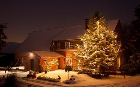 1666172076_photodune-20943037-winter-house-with-tall-christmas-tree-at-night-xxl