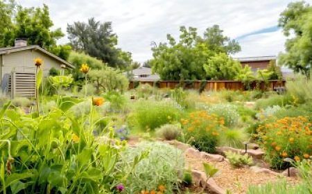 1759389436_Regenerativer-Garten